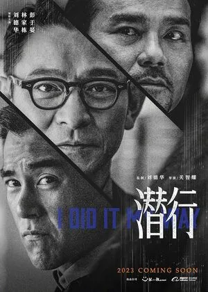 I Did It My Way 2023 Hindi Dual Audio WEB-DL 720p - 480p - 1080p